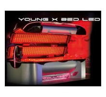 BED Young X BED LED